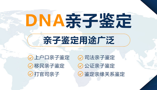 金普新区隐私DNA亲子鉴定需要的条件和材料有哪些,金普新区隐私亲子鉴定大概多少费用