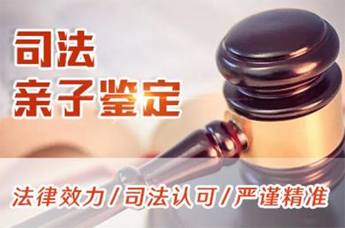 金普新区司法亲子鉴定如何做,金普新区司法亲子鉴定大概多少钱