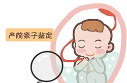 金普新区怀孕亲子鉴定准不准确鉴定咨询